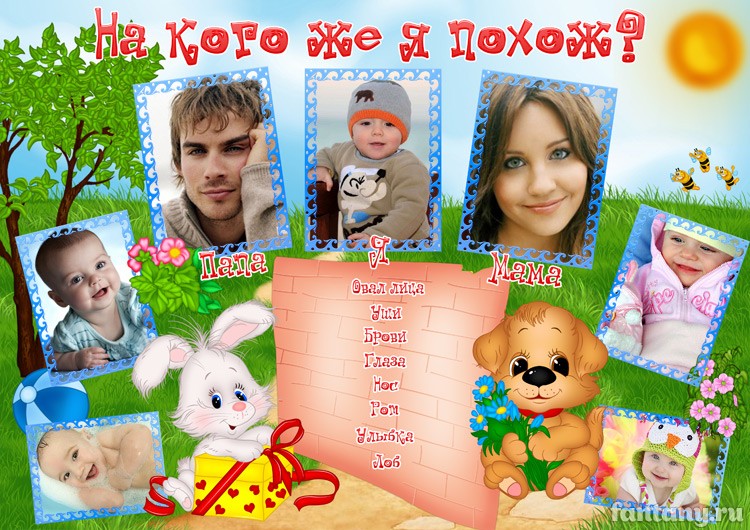 Плакат "На кого же я похож" №14